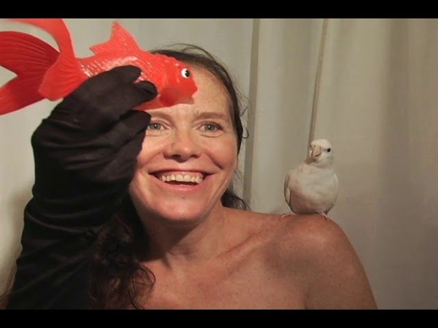 kristen vigard feet 6