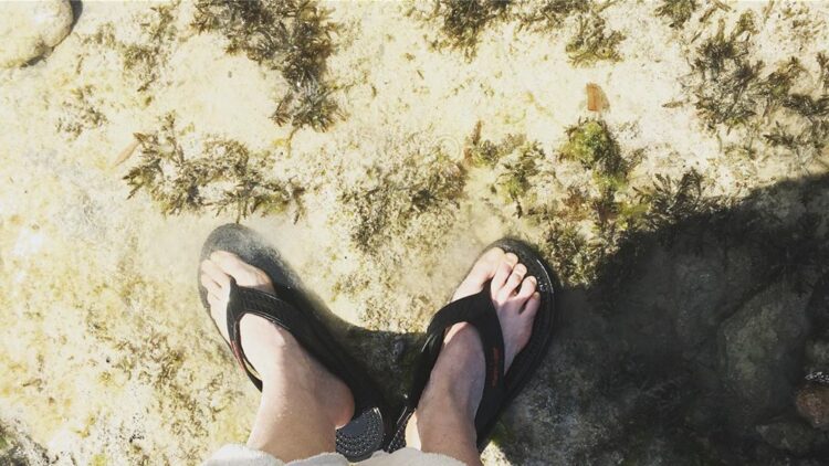 kristin bauer feet 6