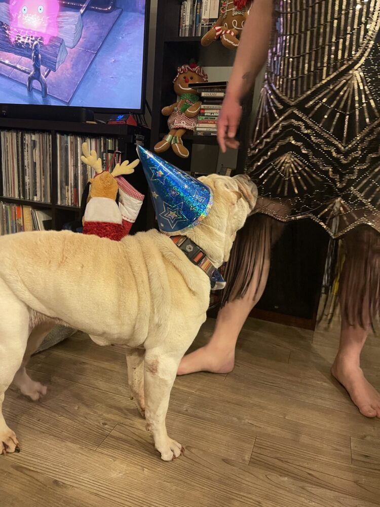 kristin chirico feet 5