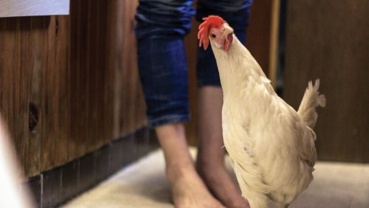 kristina buch feet 2