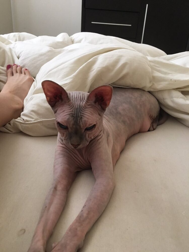 kristina plisko feet