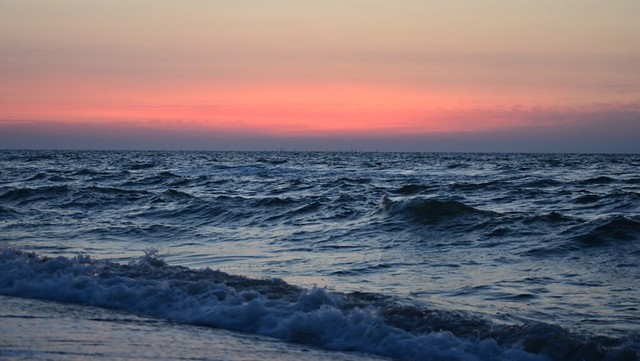 ksusha karpova feet 1