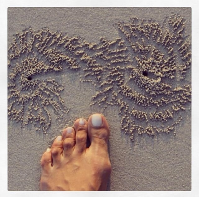 kubbra sait feet 4