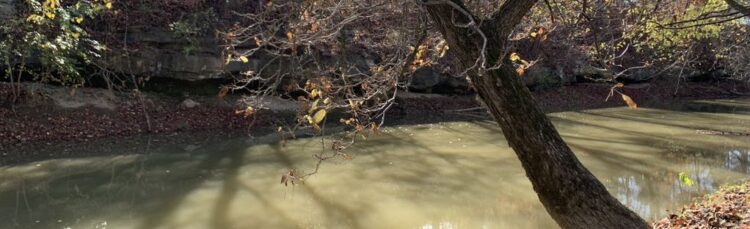 kyana brockman feet 2