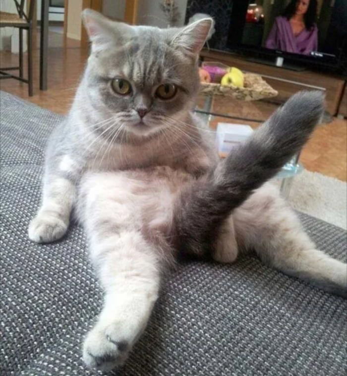 lady melamori feet 4