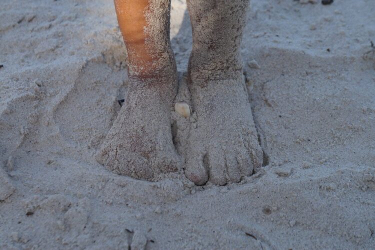 lais oliveira feet 3