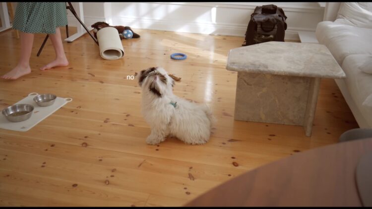 lana blakely feet 5 scaled