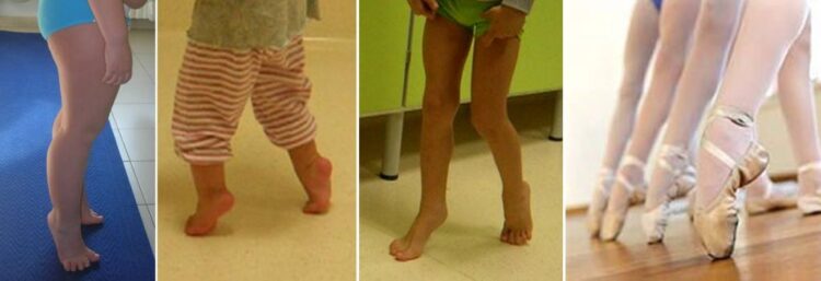 langolino di spina feet 6