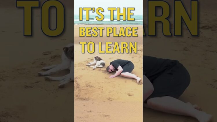 lapattenchantee feet 4