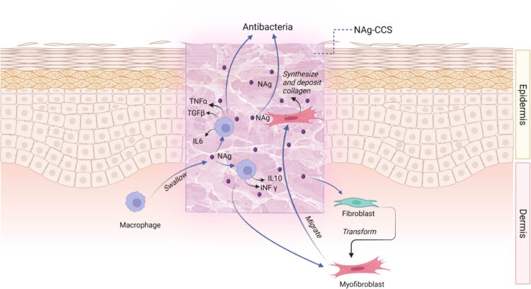 lara aassar feet 6 scaled