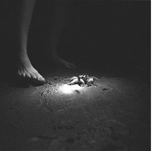 lara kopenkina feet 3