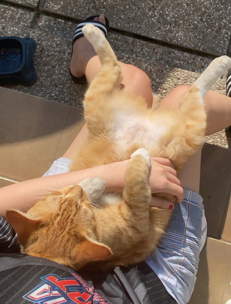 larissa rochefort feet 3