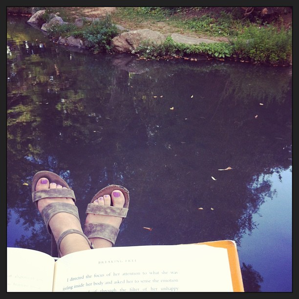 laura dreyfuss feet 1