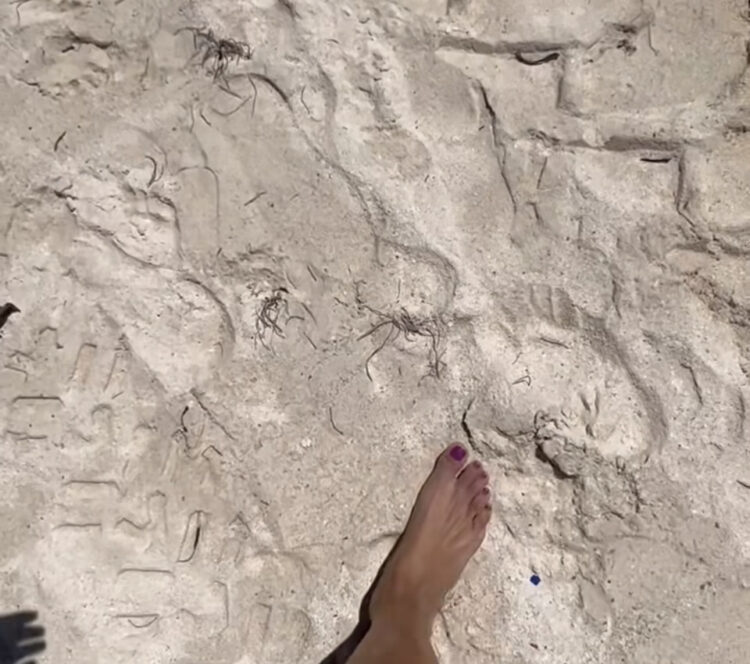 laura gonzalez feet 4