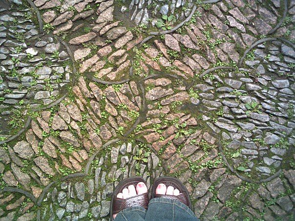 laura herbert feet 5