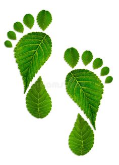 laura leaf feet