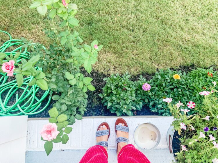 laura leboutillier feet 6