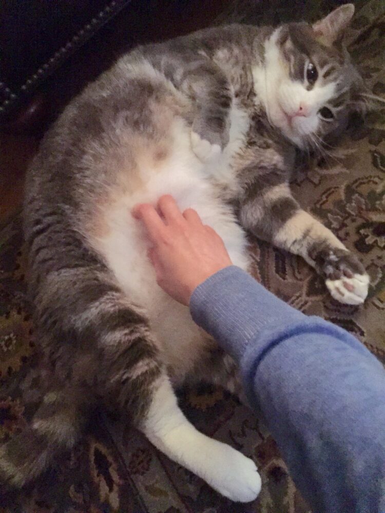 laura shigihara feet 2 scaled