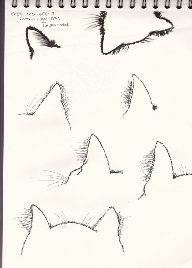 laura tobar feet 4 scaled