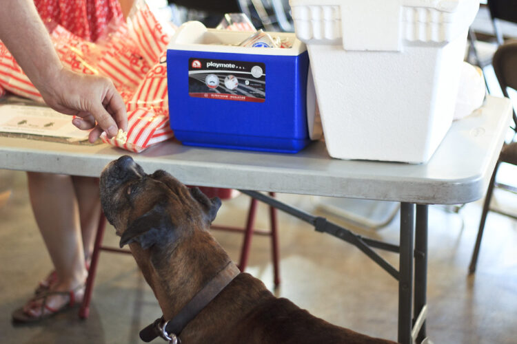 lauren ashley bishop feet 4