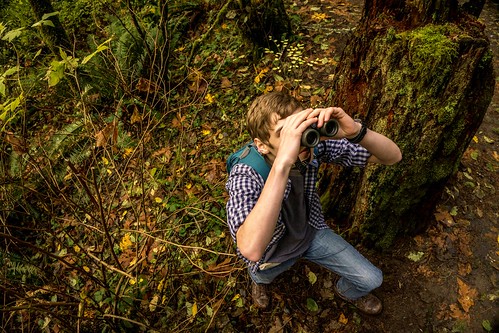 lauren dawkins feet 6