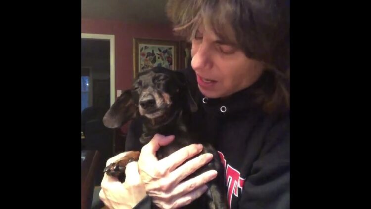 lauren passarelli feet 1