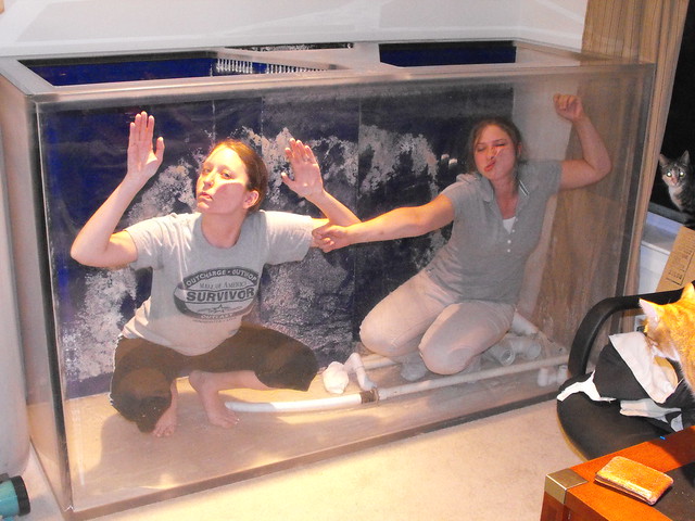 lauren talley feet 1