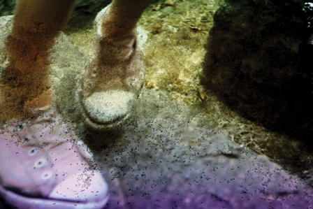 laurie anderson feet 5