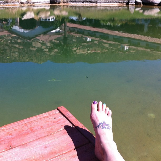 leah ann cevoli feet 3