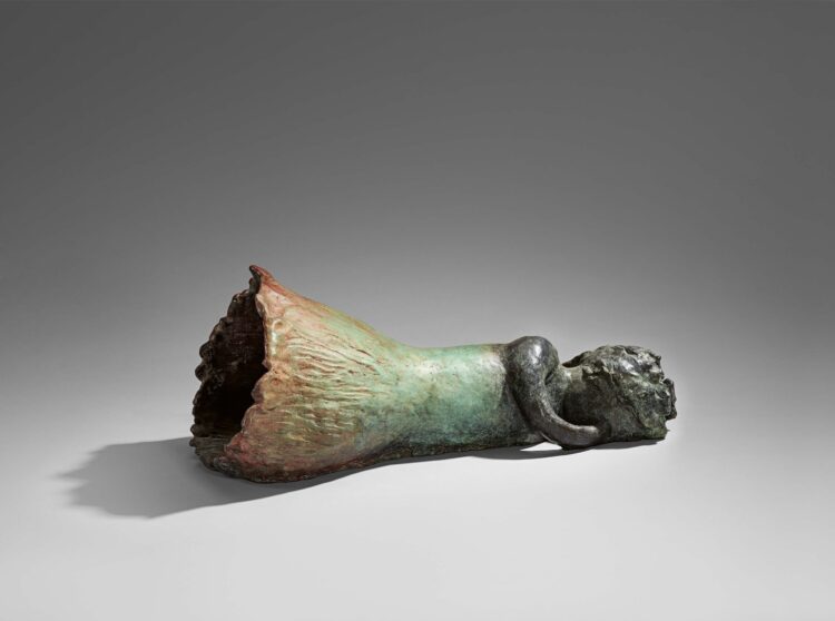 leiko ikemura feet scaled