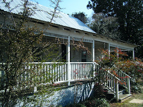 leila denmark feet 6