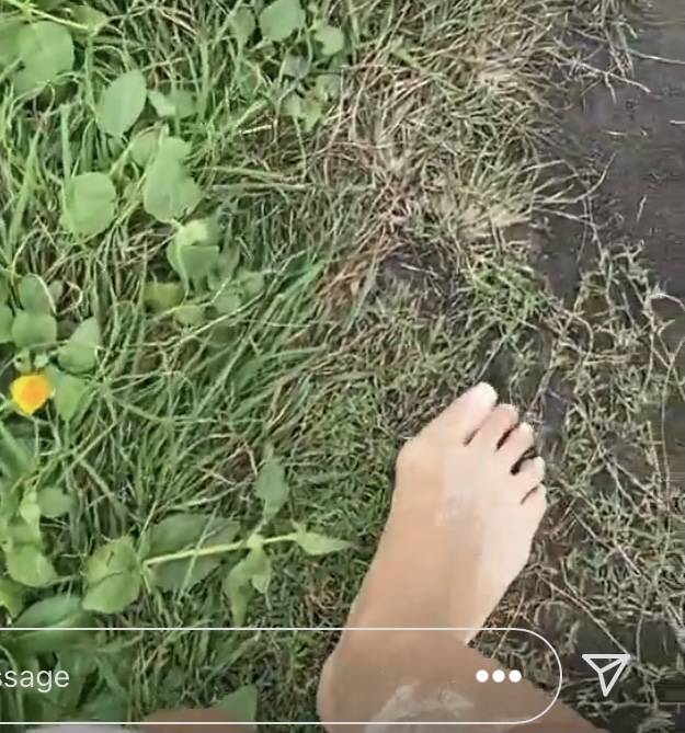 leila stead feet