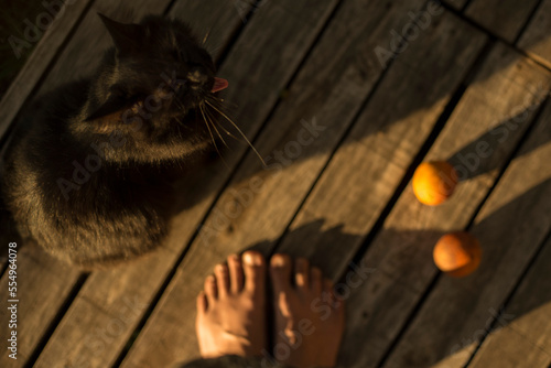 lenguas de gato feet 2