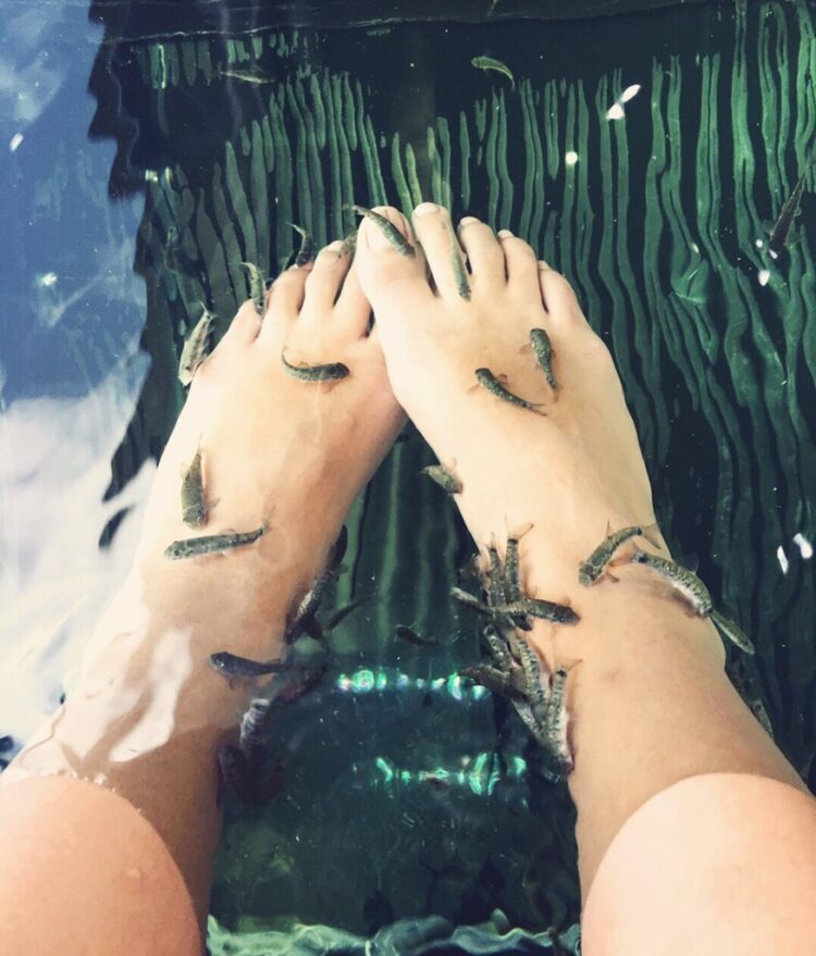 liane valenzuela feet 6