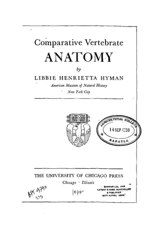 libbie henrietta hyman feet 3