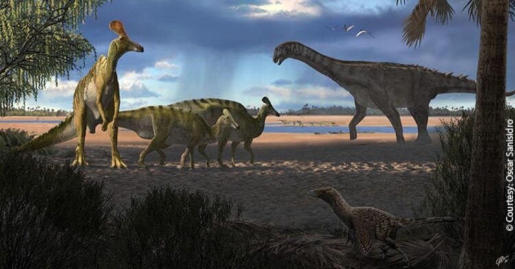 lidia de los rios feet 6