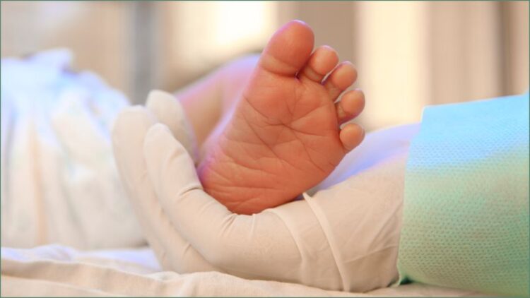 lihue gonzalez feet 6