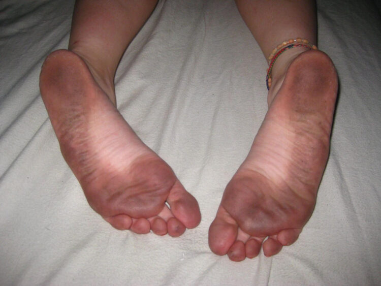 lil lexi panda feet 4