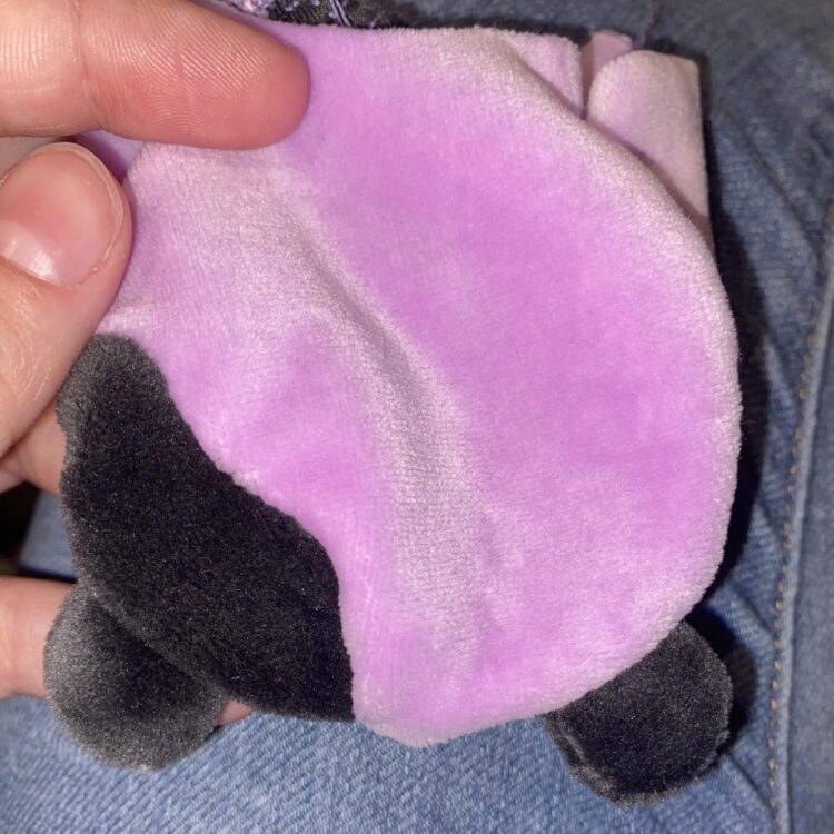 lil peanda feet 6 scaled