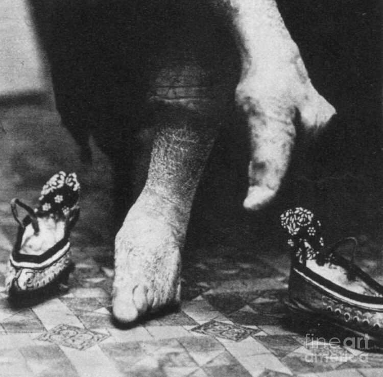 lily lilylilylilycom feet 6