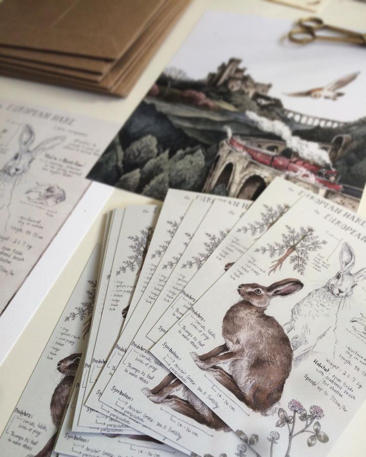 lily seika jones feet 2