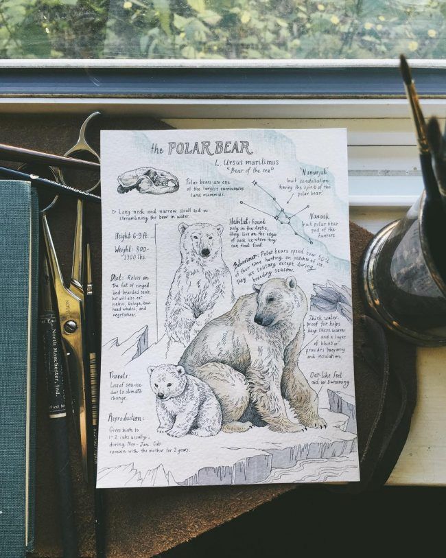 lily seika jones feet 4