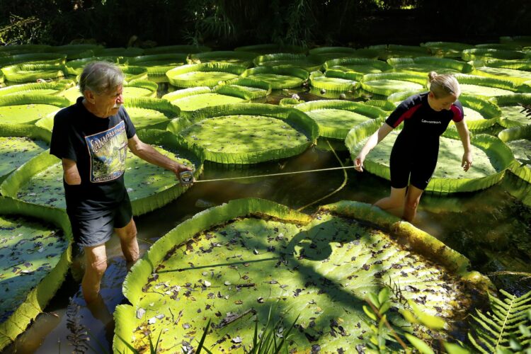 lily waters feet 4 scaled