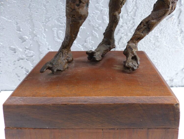 linda goodman feet 2