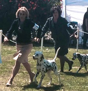 linda gray sexton feet 6