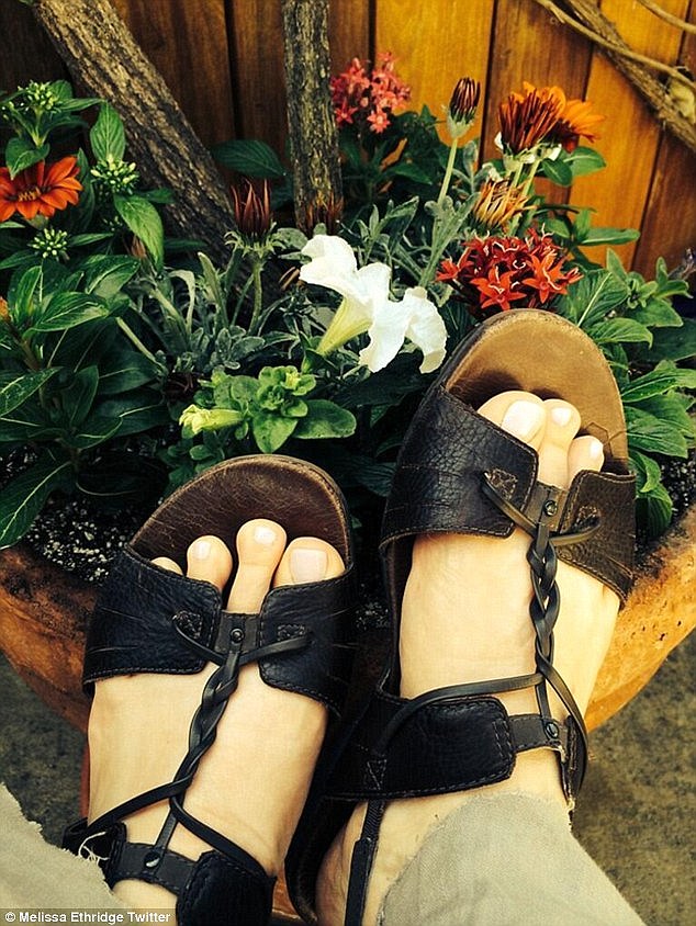 linda wallem feet 1