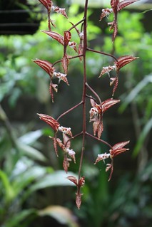 lindsay woods feet 6