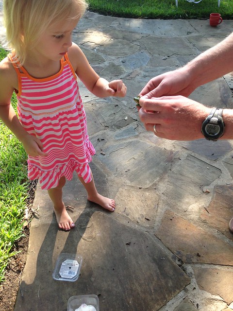 lindsey harrison feet 4