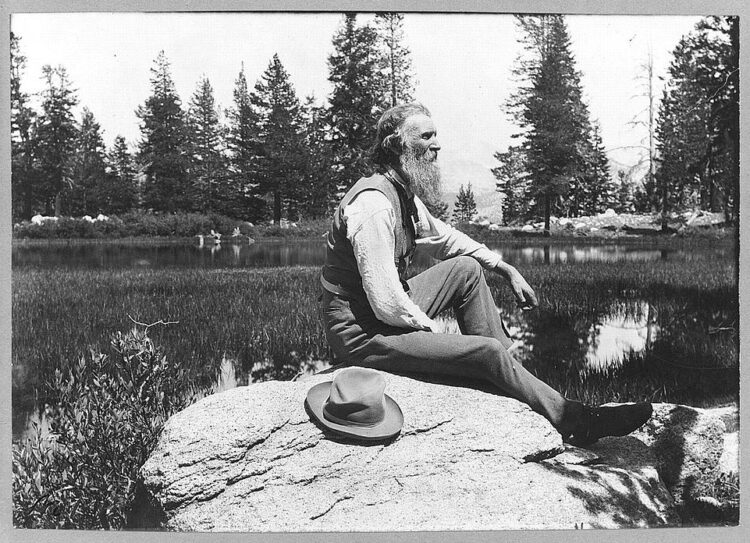 linnie marsh wolfe feet 1