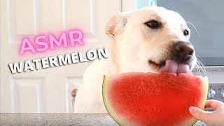 little watermelon asmr feet 5
